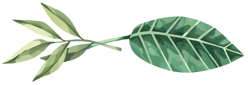 green-center3